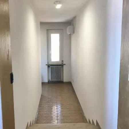 Stella مالتشيزينيه