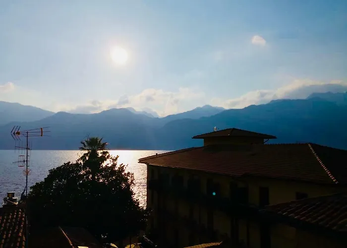 Stella Мальчезине